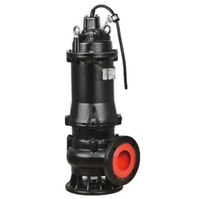 11kW Raw Sewage Pump