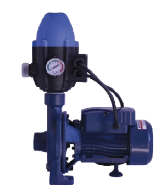 CPM130 Booster Pump Combo 0.37kW 220V (with Flow Controller)