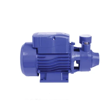 QB-60 Booster Pump