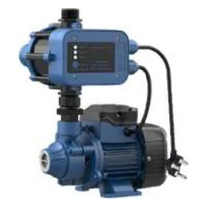 QB60G Peripheral Booster Pump Combo 0.37kW 220V